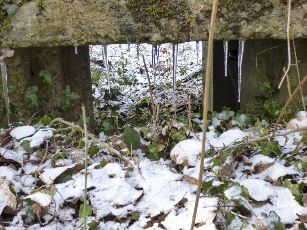Ligne Maginot - BA3 - NEUVE-FORGE - (Blockhaus pour canon) -  - JMBrams