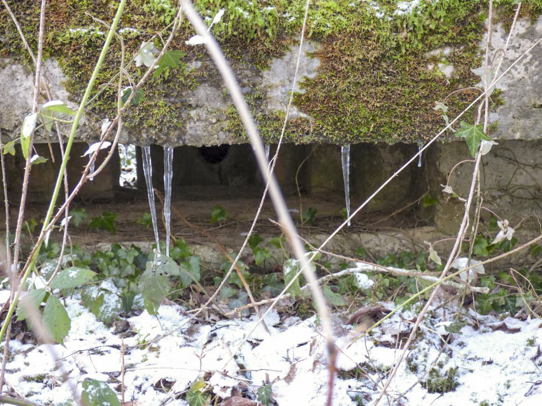 Ligne Maginot - BA3 - NEUVE-FORGE - (Blockhaus pour canon) -  - JMBrams