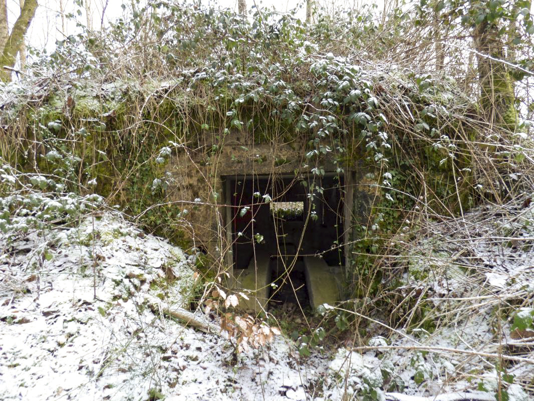 Ligne Maginot - BA3 - NEUVE-FORGE - (Blockhaus pour canon) -  - JMBrams