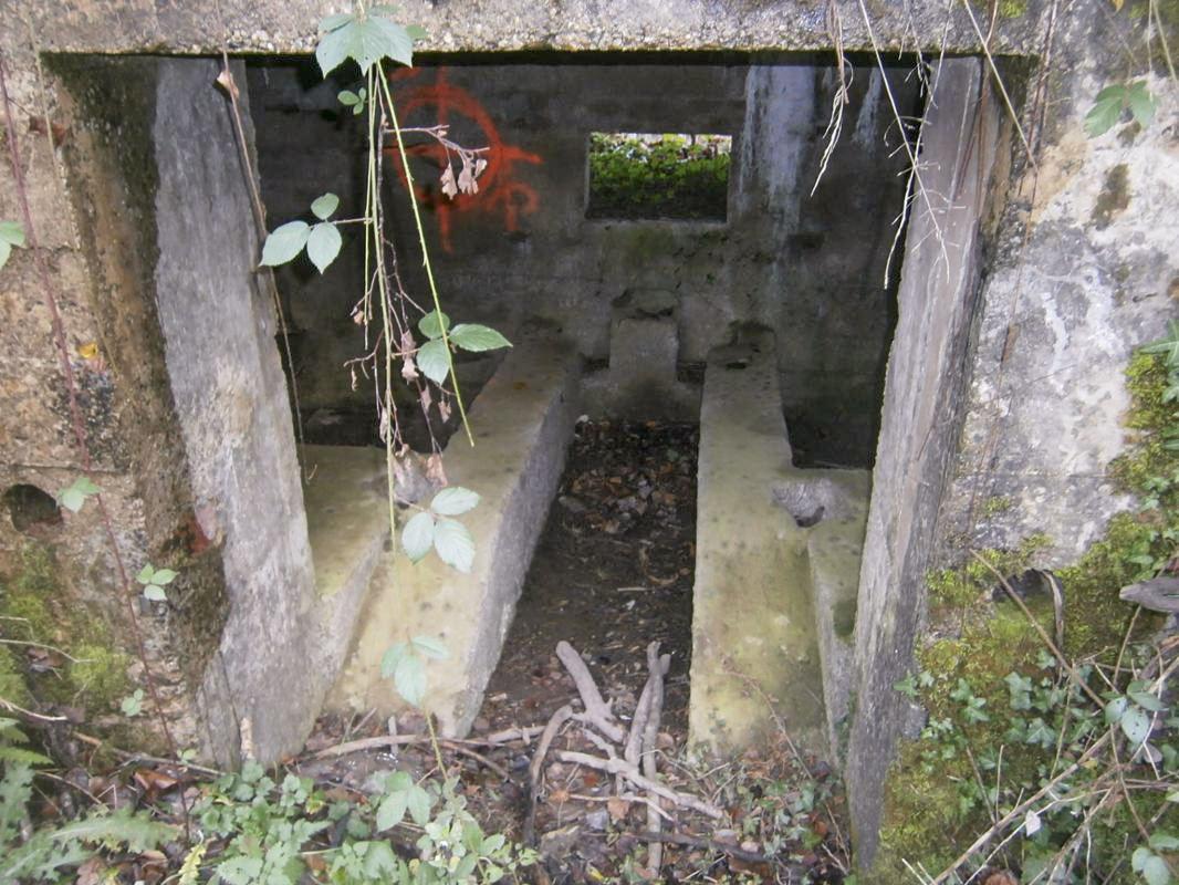Ligne Maginot - BA3 - NEUVE-FORGE - (Blockhaus pour canon) -  - P.VILAIN