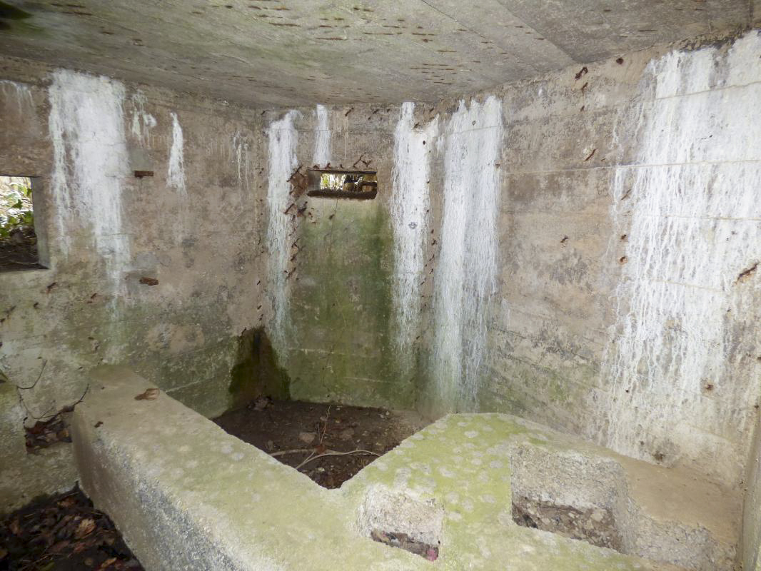 Ligne Maginot - BA3 - NEUVE-FORGE - (Blockhaus pour canon) -  - JMBrams