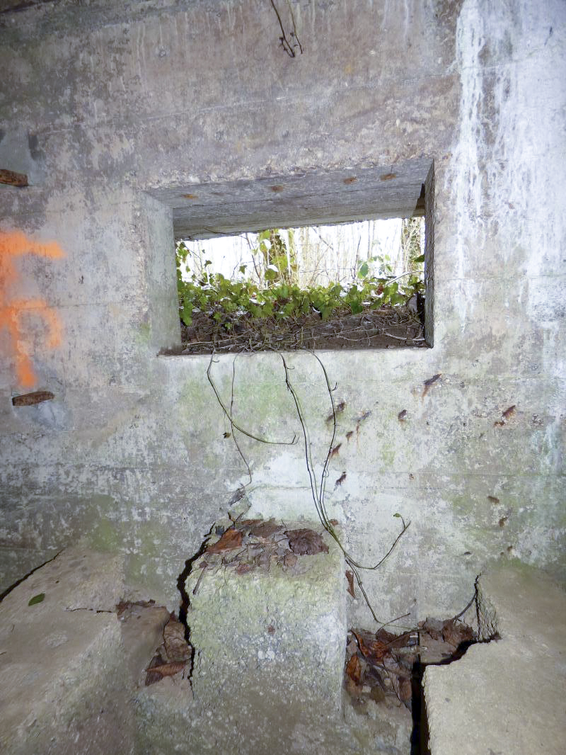 Ligne Maginot - BA3 - NEUVE-FORGE - (Blockhaus pour canon) -  - JMBrams