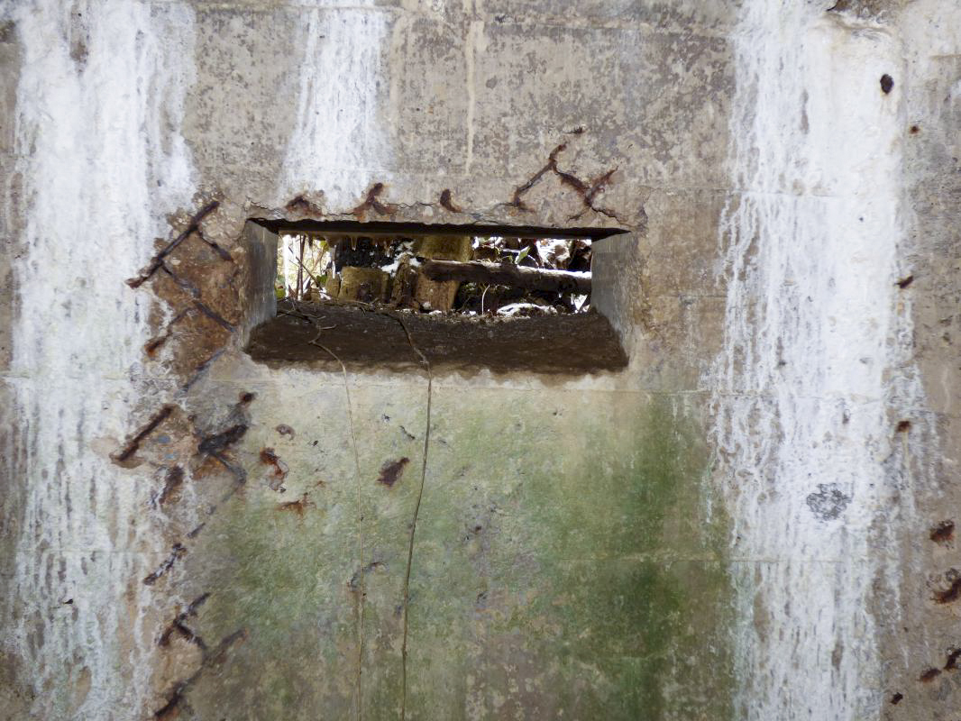 Ligne Maginot - BA3 - NEUVE-FORGE - (Blockhaus pour canon) -  - JMBrams