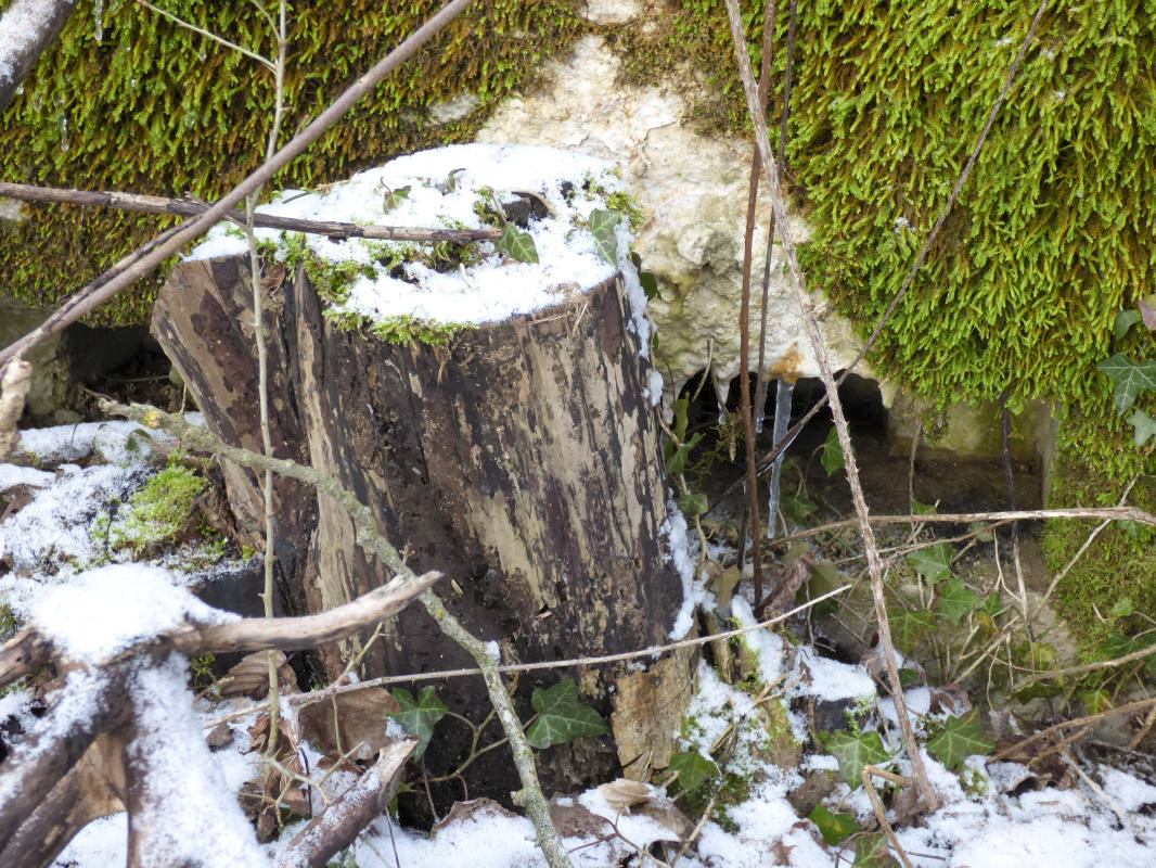 Ligne Maginot - BA3 - NEUVE-FORGE - (Blockhaus pour canon) -  - JMBrams