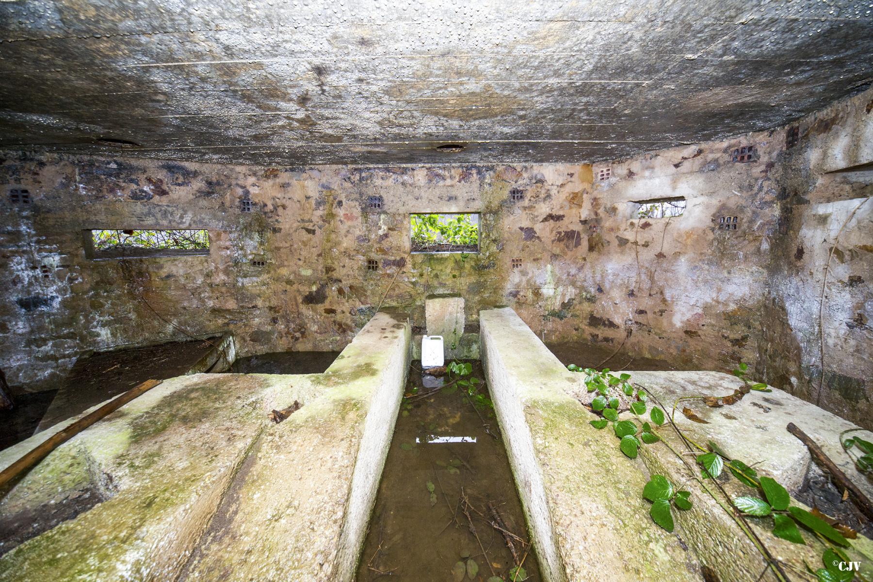 Ligne Maginot - BA4 - ROUTE DE NEUVE FORGE - (Blockhaus pour canon) -  - Lia VERMEULEN