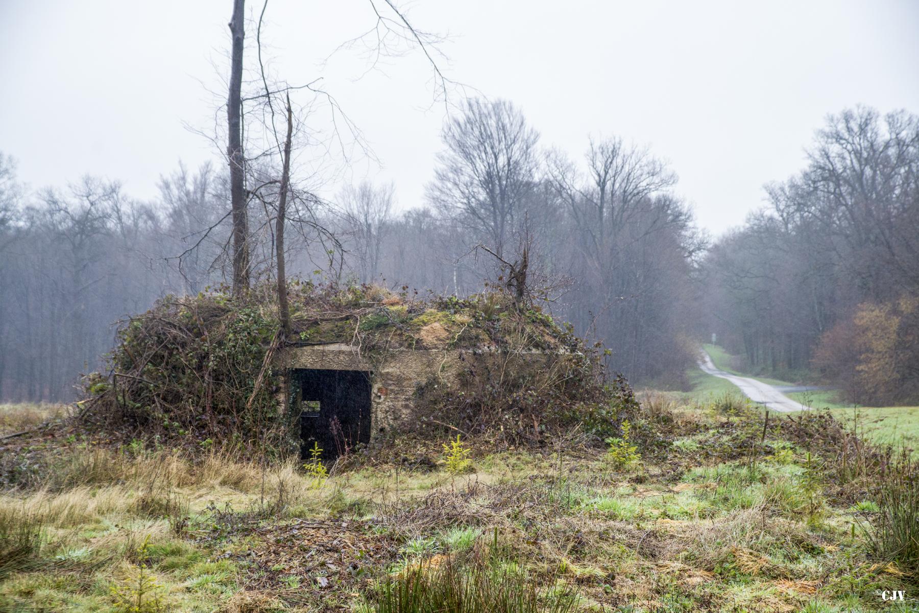 Ligne Maginot - BA4 - ROUTE DE NEUVE FORGE - (Blockhaus pour canon) -  - Lia VERMEULEN