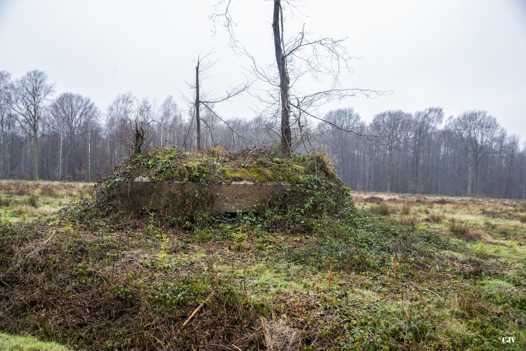 Ligne Maginot - BA4 - ROUTE DE NEUVE FORGE - (Blockhaus pour canon) -  - Lia VERMEULEN