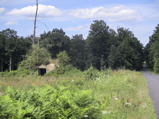 Ligne Maginot - BA4 - ROUTE DE NEUVE FORGE - (Blockhaus pour canon) - Blockhaus situé dans son environnement. - Randonneur62
