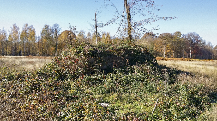 Ligne Maginot - BA4 - ROUTE DE NEUVE FORGE - (Blockhaus pour canon) -  - Patrice Vilain