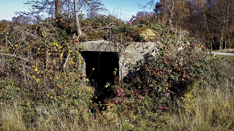 Ligne Maginot - BA4 - ROUTE DE NEUVE FORGE - (Blockhaus pour canon) -  - Patrice Vilain