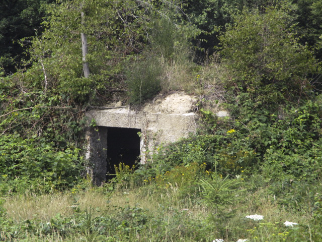 Ligne Maginot - BA4 - ROUTE DE NEUVE FORGE - (Blockhaus pour canon) -  - Randonneur62