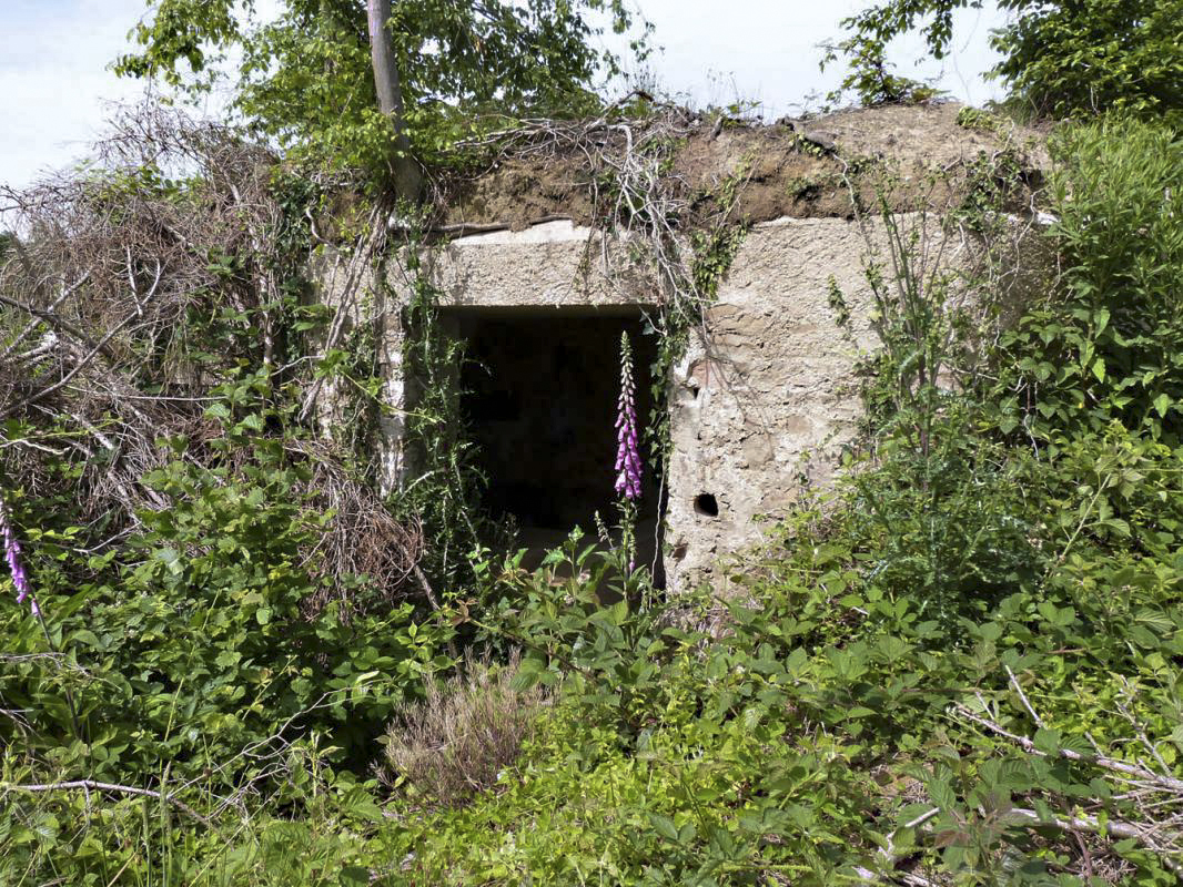 Ligne Maginot - BA4 - ROUTE DE NEUVE FORGE - (Blockhaus pour canon) -  - JMBrams