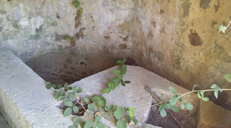 Ligne Maginot - BA4 - ROUTE DE NEUVE FORGE - (Blockhaus pour canon) -  - Patrice Vilain