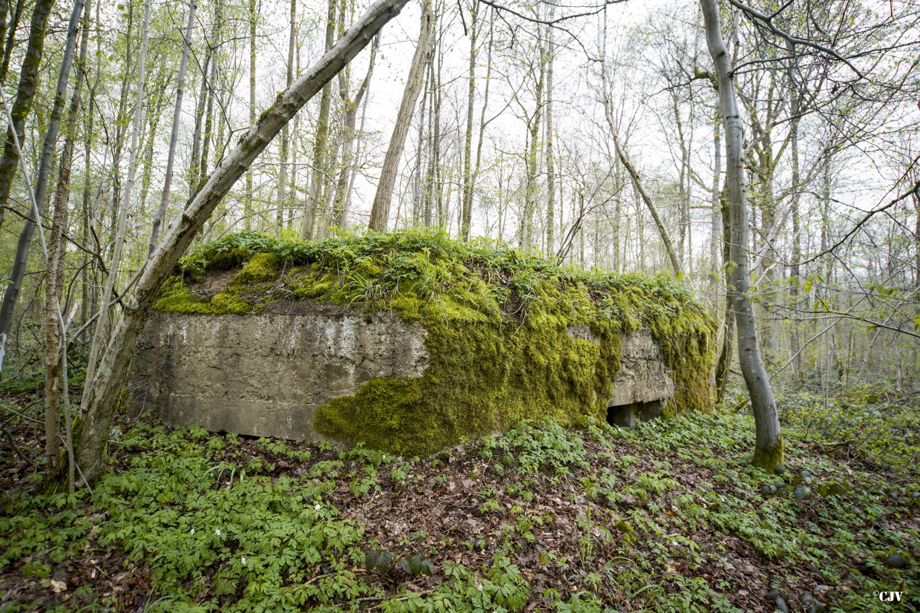 Ligne Maginot - BA8 - LE MAMELON - (Blockhaus pour canon) -  - Lia VERMEULEN