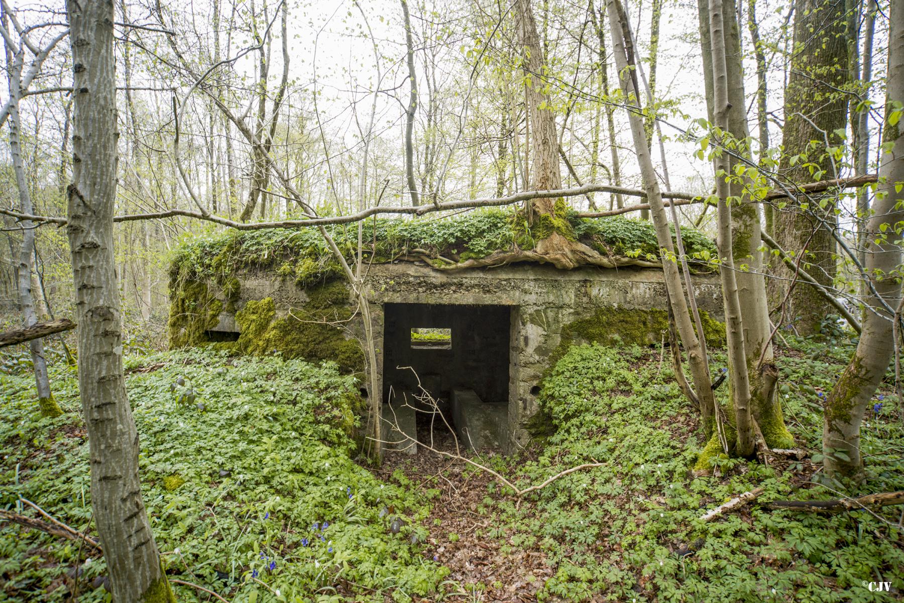 Ligne Maginot - BA8 - LE MAMELON - (Blockhaus pour canon) -  - Lia VERMEULEN