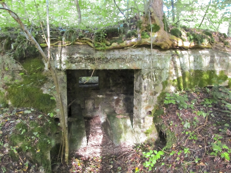 Ligne Maginot - BA8 - LE MAMELON - (Blockhaus pour canon) - Noter la très faible épaisseur de la dalle. - François MATHOT