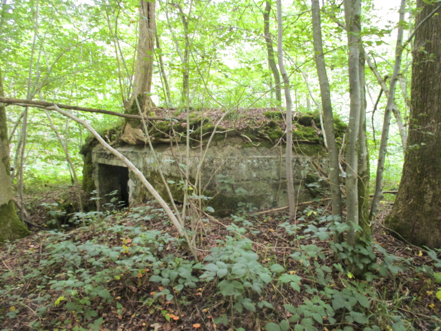 Ligne Maginot - BA8 - LE MAMELON - (Blockhaus pour canon) -  - Randonneur62