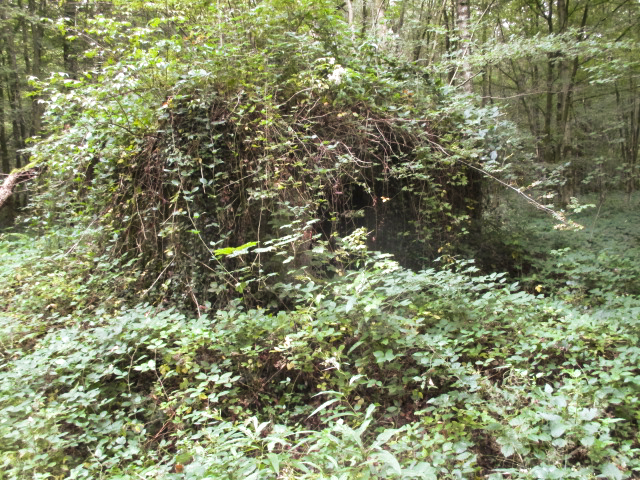 Ligne Maginot - BA9 - LAIE SYLVIE - (Blockhaus pour canon) -  - Randonneur62