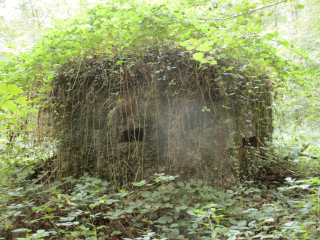 Ligne Maginot - BA9 - LAIE SYLVIE - (Blockhaus pour canon) -  - Randonneur62