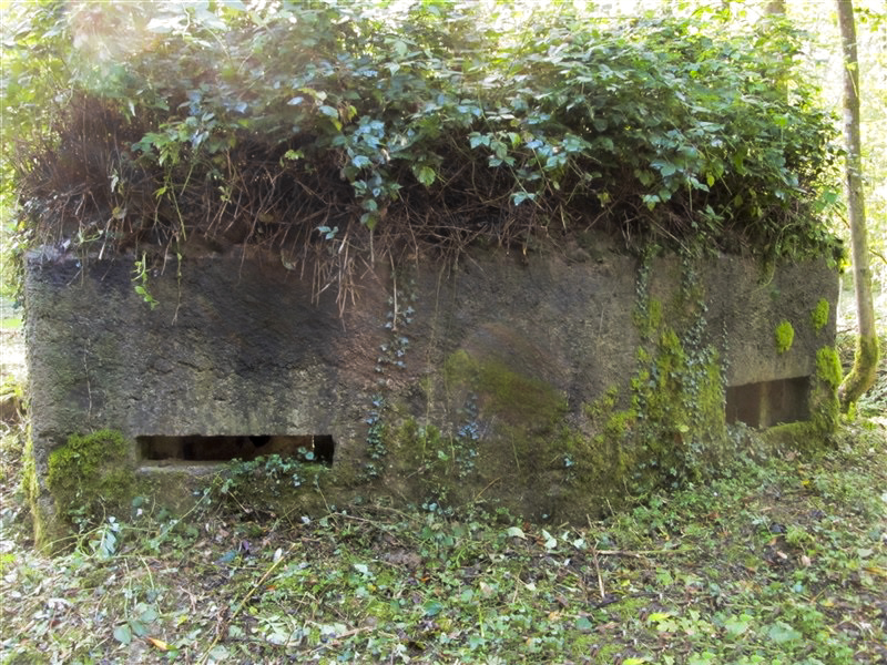 Ligne Maginot - BA12 - ROUTE DU CONSERVATEUR OUEST - (Blockhaus pour canon) -  - François MATHOT