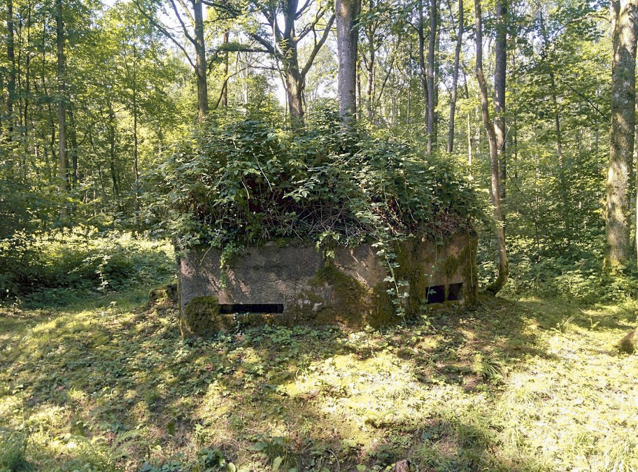 Ligne Maginot - BA12 - ROUTE DU CONSERVATEUR OUEST - (Blockhaus pour canon) -  - PAVEL Jan