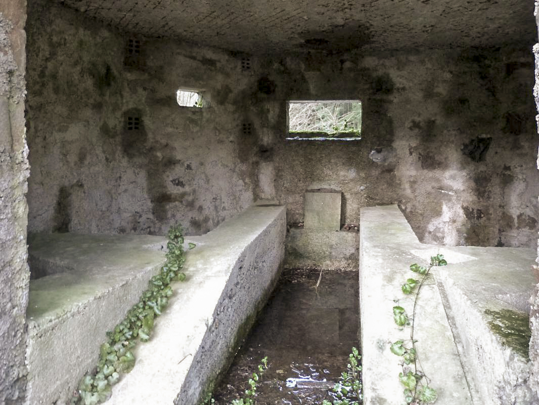 Ligne Maginot - BA12 - ROUTE DU CONSERVATEUR OUEST - (Blockhaus pour canon) -  - JMBrams
