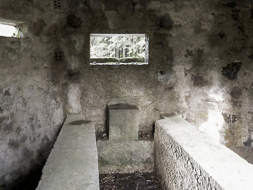 Ligne Maginot - BA12 - ROUTE DU CONSERVATEUR OUEST - (Blockhaus pour canon) -  - JMBrams