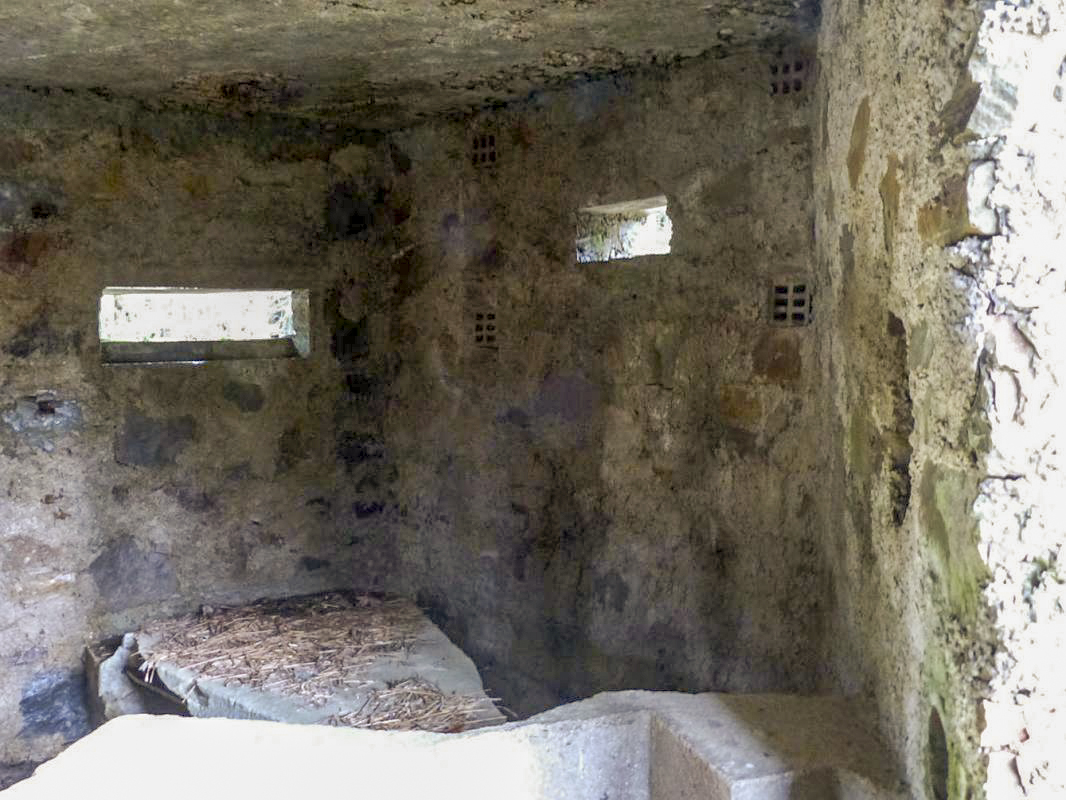 Ligne Maginot - BA12 - ROUTE DU CONSERVATEUR OUEST - (Blockhaus pour canon) -  - JMBrams