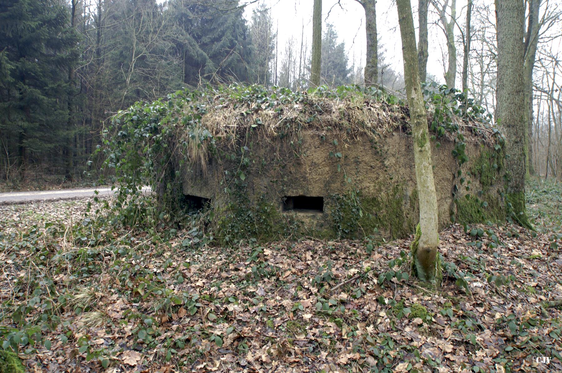 Ligne Maginot - BA12 - ROUTE DU CONSERVATEUR OUEST - (Blockhaus pour canon) -  - Caspar Vermeulen