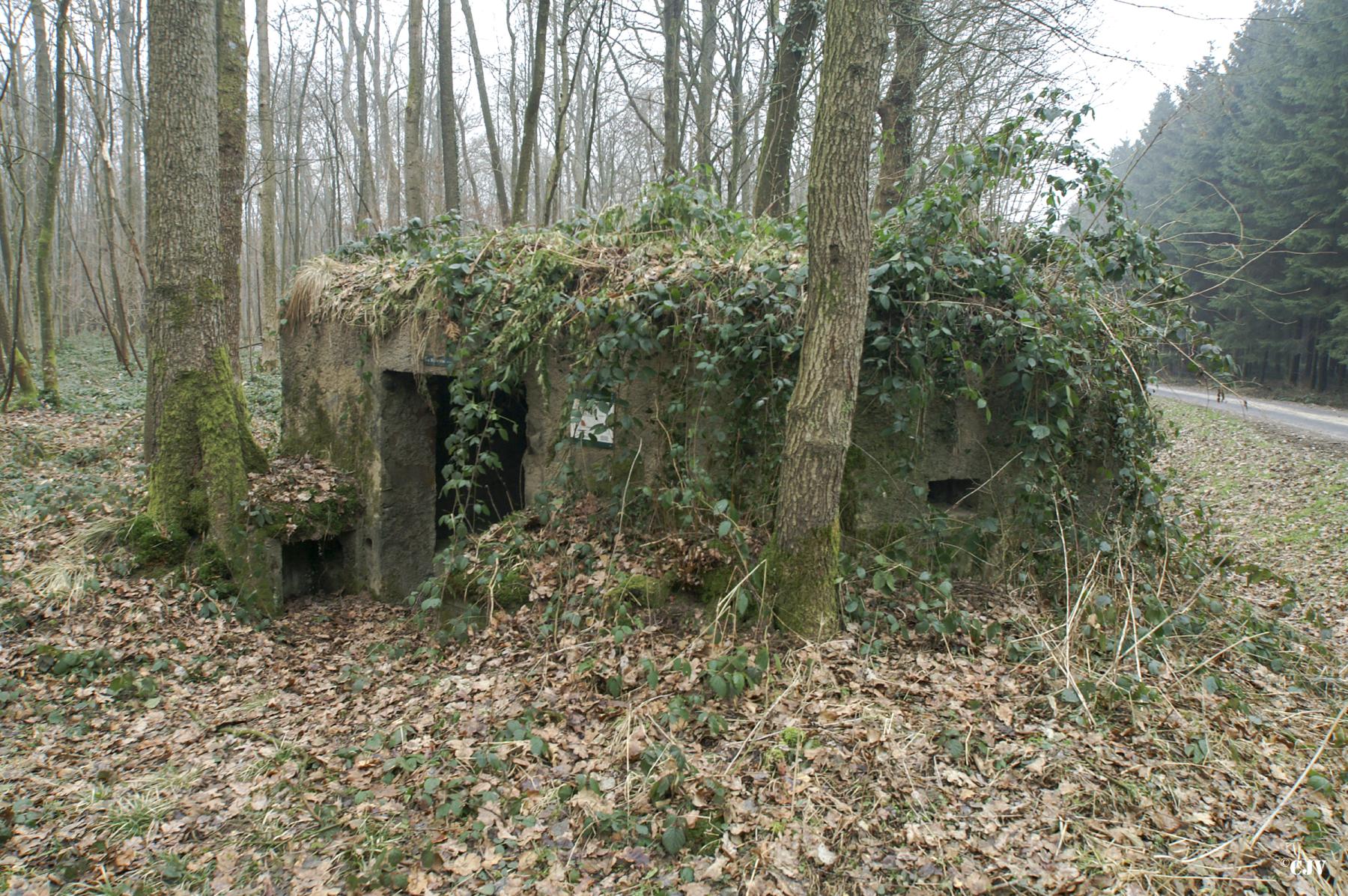 Ligne Maginot - BA12 - ROUTE DU CONSERVATEUR OUEST - (Blockhaus pour canon) -  - Caspar Vermeulen