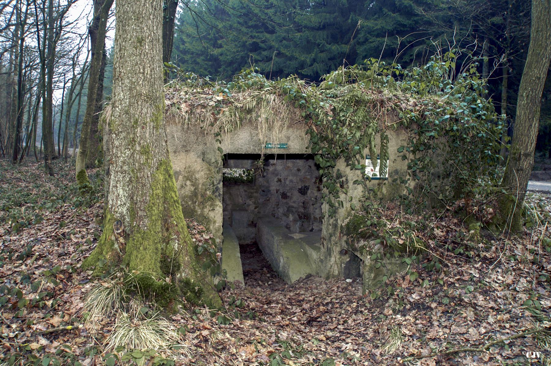 Ligne Maginot - BA12 - ROUTE DU CONSERVATEUR OUEST - (Blockhaus pour canon) -  - Caspar Vermeulen