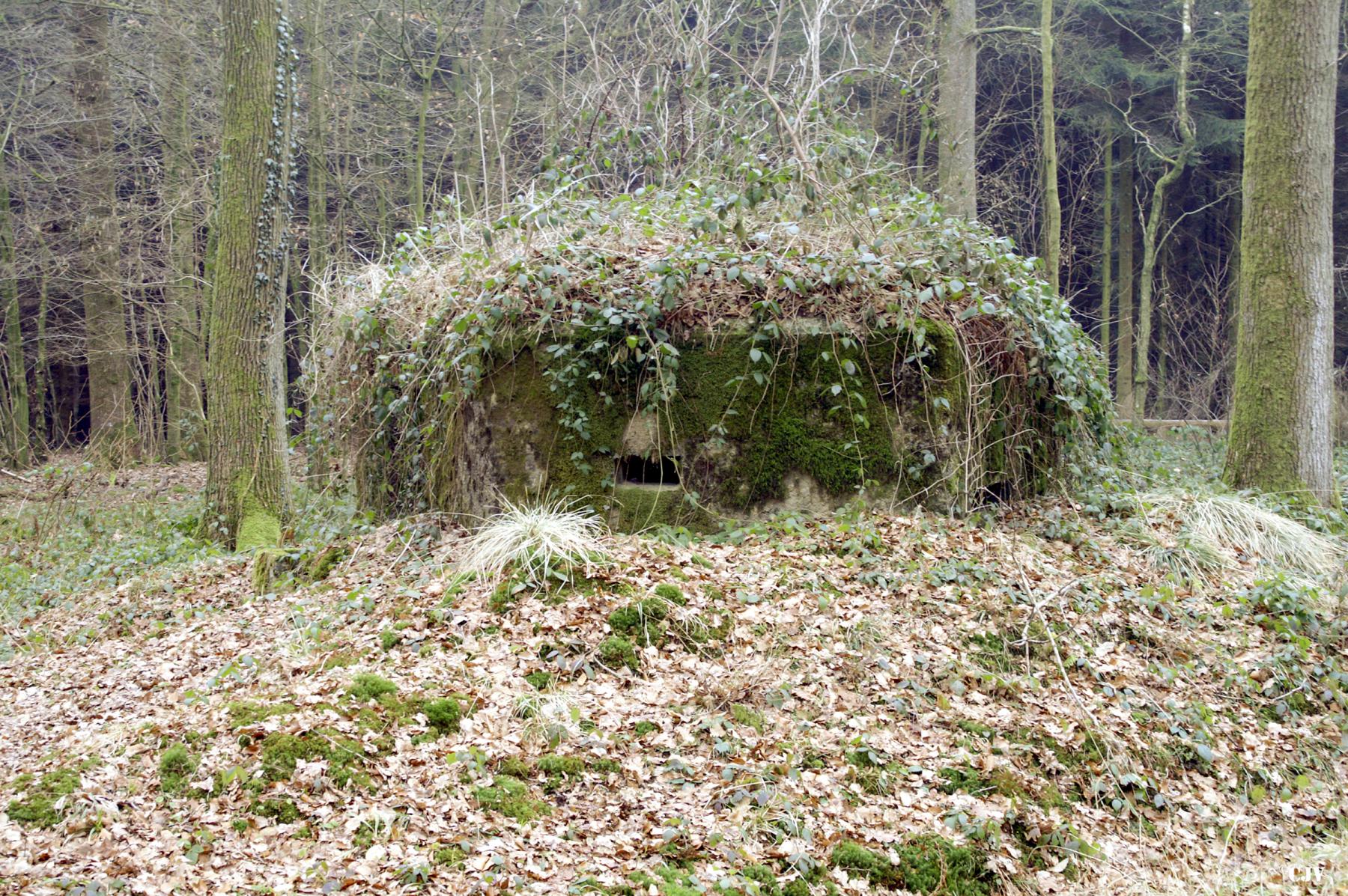 Ligne Maginot - BA13 - LAIE BLANCHE - (Blockhaus pour canon) -  - Caspar Vermeulen