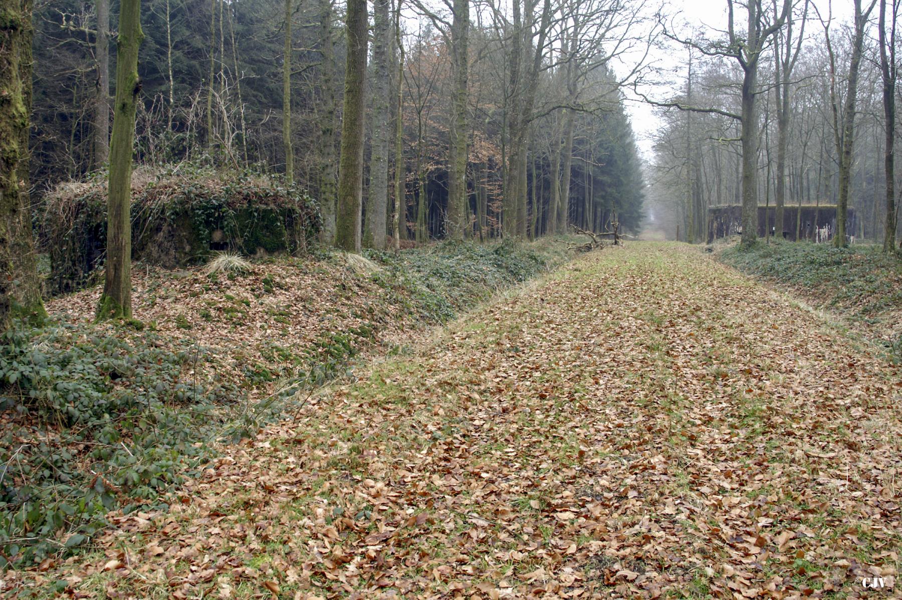 Ligne Maginot - BA13 - LAIE BLANCHE - (Blockhaus pour canon) - En arrière-plan à droite la casemate A7-Le Mamelon - Caspar Vermeulen