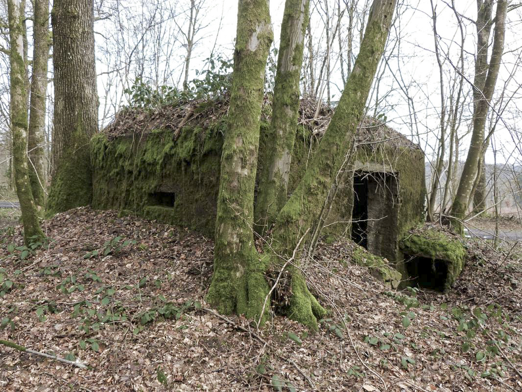 Ligne Maginot - BA19 - LA LIMITE NORD - (Blockhaus pour canon) -  - JMBrams