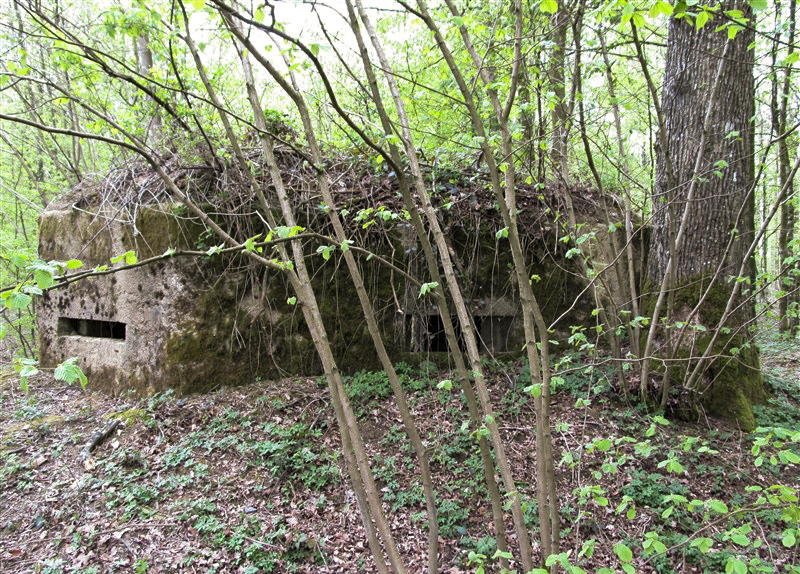 Ligne Maginot - BA19 - LA LIMITE NORD - (Blockhaus pour canon) -  - François MATHOT