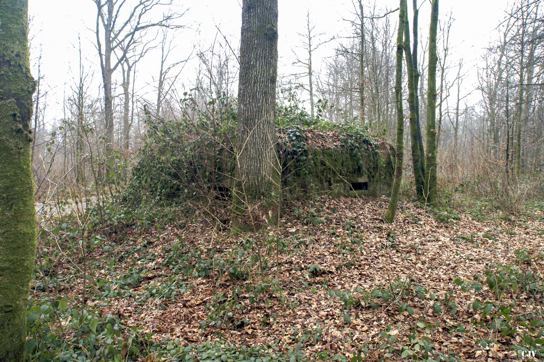 Ligne Maginot - BA19 - LA LIMITE NORD - (Blockhaus pour canon) -  - Caspar Vermeulen