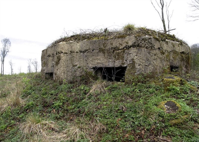 Ligne Maginot - BA20 - LA LIMITE SUD - (Blockhaus pour canon) -  - François MATHOT