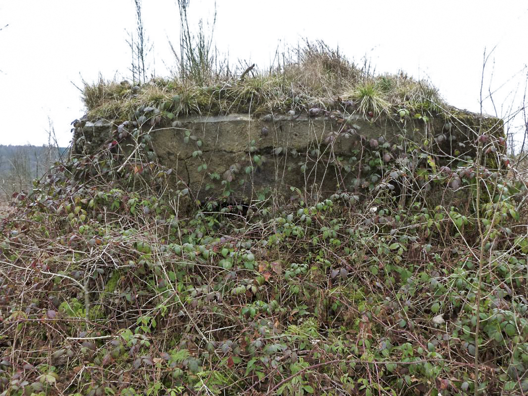 Ligne Maginot - BA20 - LA LIMITE SUD - (Blockhaus pour canon) -  - JMBrams
