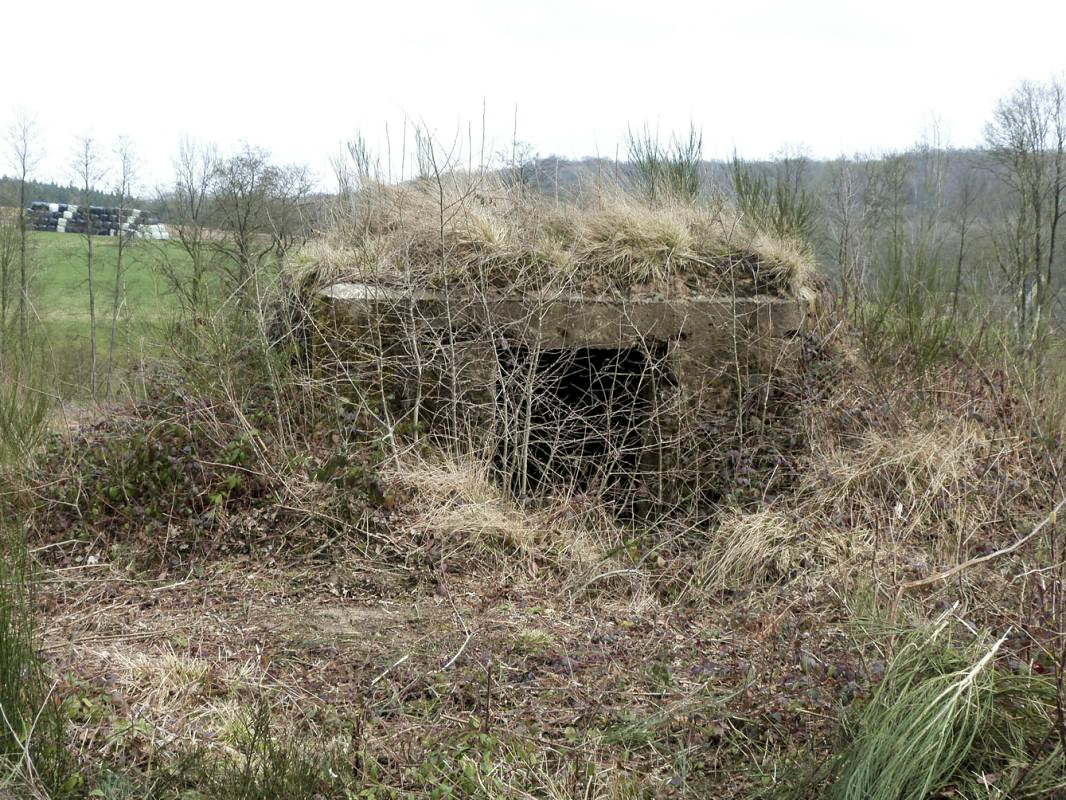Ligne Maginot - BA20 - LA LIMITE SUD - (Blockhaus pour canon) -  - JMBrams
