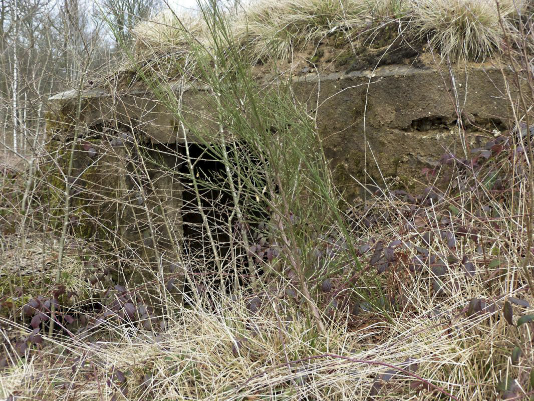 Ligne Maginot - BA20 - LA LIMITE SUD - (Blockhaus pour canon) -  - JMBrams