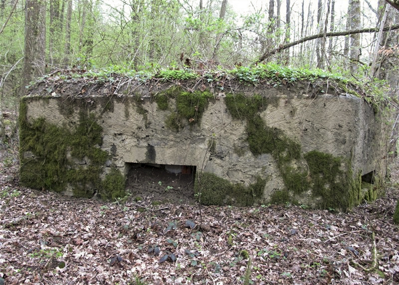 Ligne Maginot - BA21 - CHARME BEAUDET - (Blockhaus pour canon) -  - François MATHOT