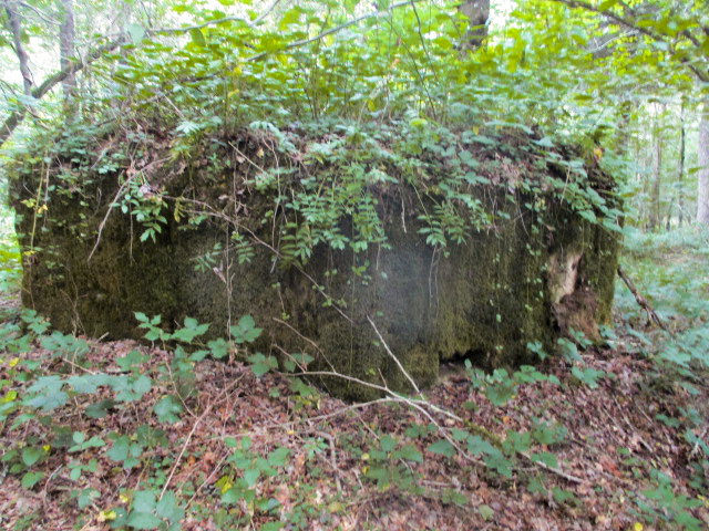 Ligne Maginot - BA21 - CHARME BEAUDET - (Blockhaus pour canon) -  - Randonneur62