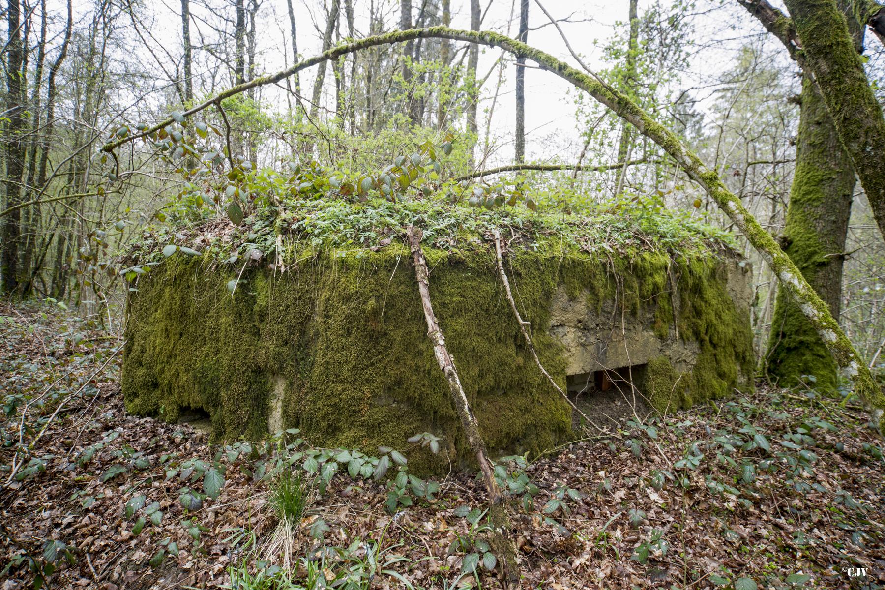 Ligne Maginot - BA21 - CHARME BEAUDET - (Blockhaus pour canon) -  - Lia VERMEULEN
