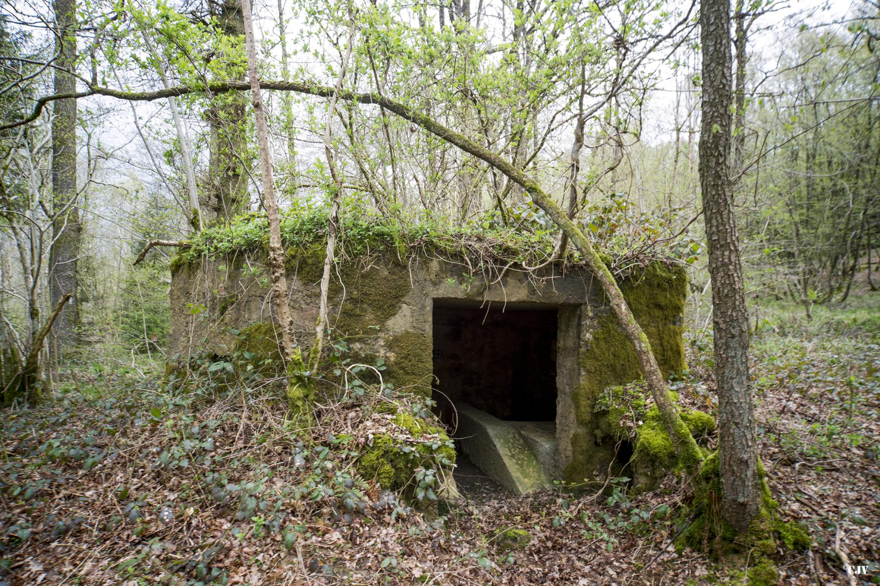 Ligne Maginot - BA21 - CHARME BEAUDET - (Blockhaus pour canon) -  - Lia VERMEULEN