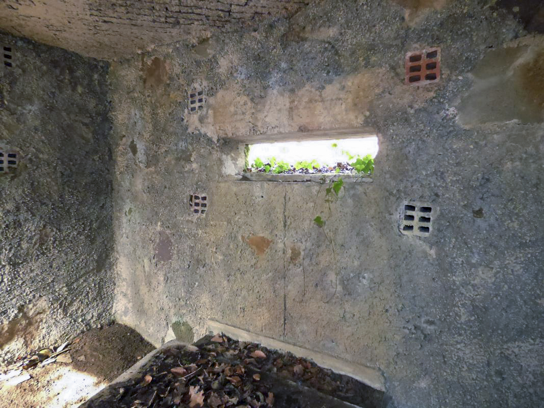 Ligne Maginot - BA22 - ROUTE FORESTIÈRE MEUNIER NORD - (Blockhaus pour arme infanterie) -  - JMBrams