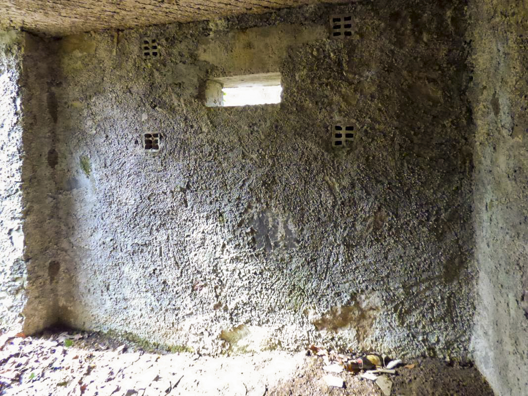 Ligne Maginot - BA22 - ROUTE FORESTIÈRE MEUNIER NORD - (Blockhaus pour arme infanterie) -  - JMBrams