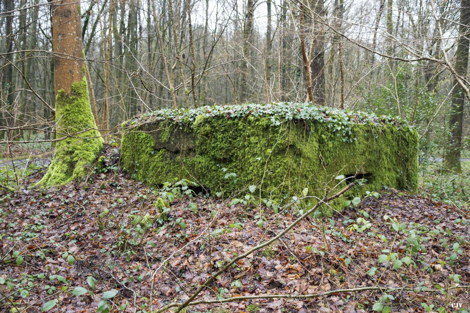 Ligne Maginot - BA22 - ROUTE FORESTIÈRE MEUNIER NORD - (Blockhaus pour arme infanterie) -  - Lia VERMEULEN