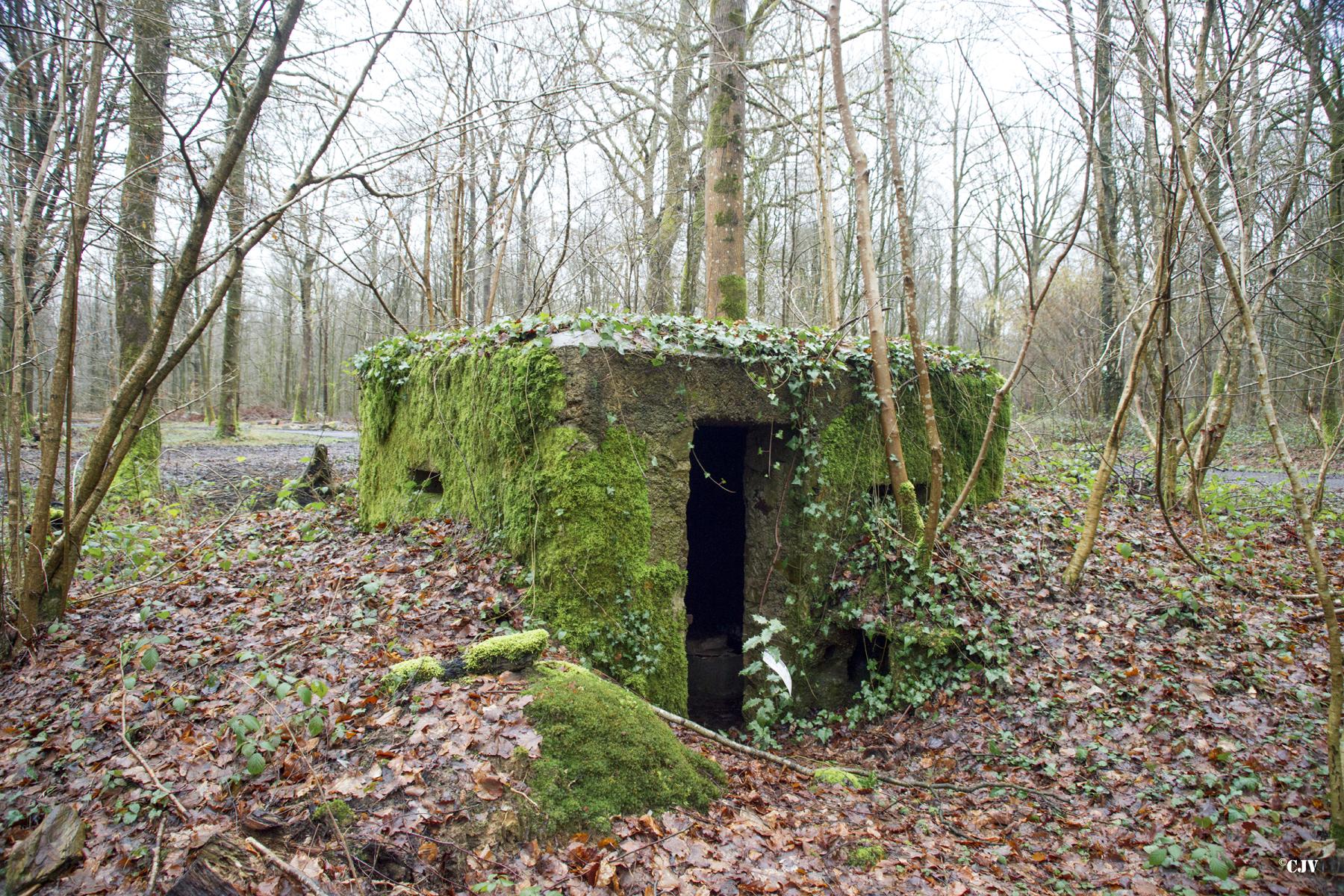 Ligne Maginot - BA22 - ROUTE FORESTIÈRE MEUNIER NORD - (Blockhaus pour arme infanterie) -  - Lia VERMEULEN