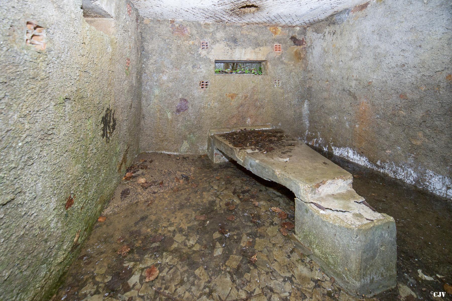 Ligne Maginot - BA22 - ROUTE FORESTIÈRE MEUNIER NORD - (Blockhaus pour arme infanterie) -  - Lia VERMEULEN