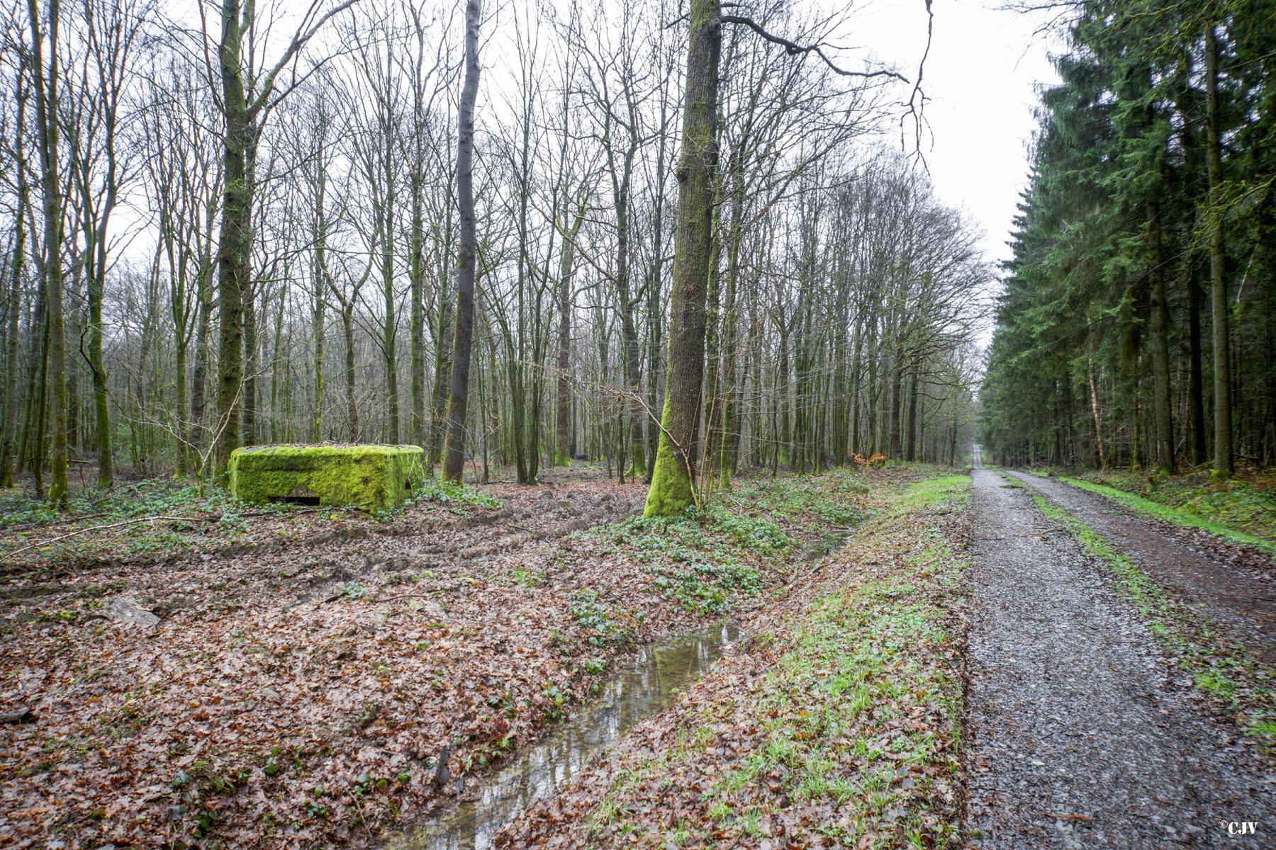 Ligne Maginot - BA23 - ROUTE FORESTIÈRE MEUNIER SUD - (Blockhaus pour arme infanterie) -  - Lia VERMEULEN